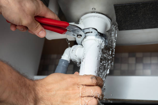 Best Mold removal after water damage  in Ensley, FL