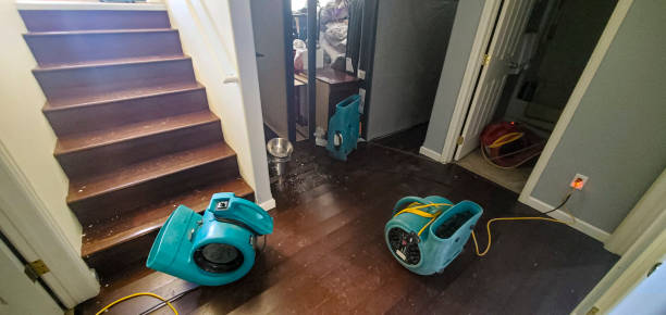 Best Water damage restoration near me  in Ensley, FL