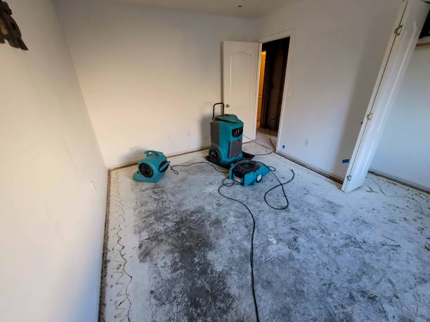 Best Flood restoration services  in Ensley, FL