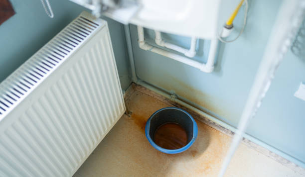Best Residential water damage restoration  in Ensley, FL