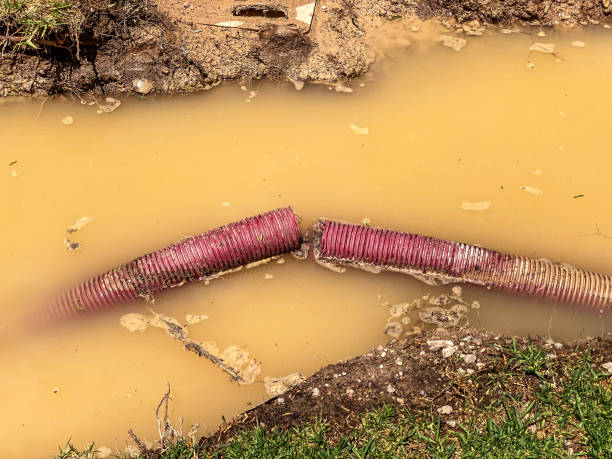  Ensley, FL Water damage restoration Pros