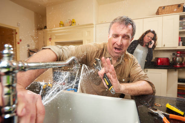 Best Mold removal after water damage  in Ensley, FL